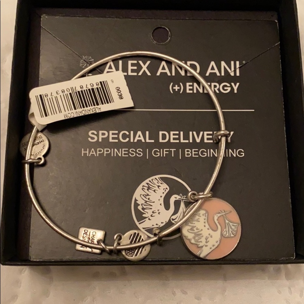 Alex and Ani Special Delviery